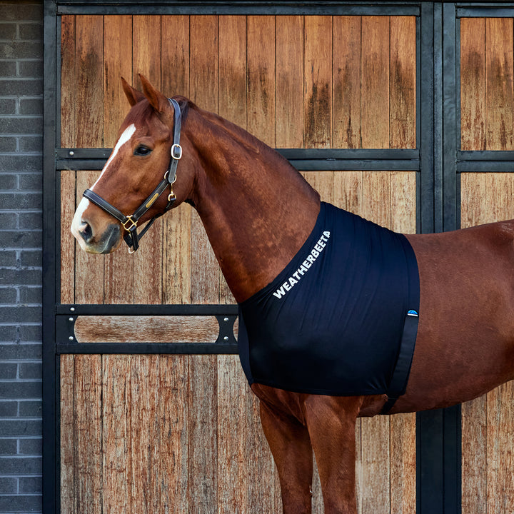 Weatherbeeta Stretch Shoulder Guard