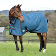 Weatherbeeta Comfitec Classic Combo Medium Turnout