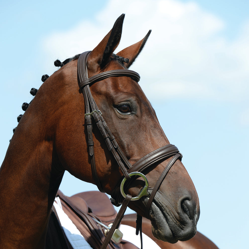 Collegiate Syntovia+ Padded Raised Flash Bridle#Brown