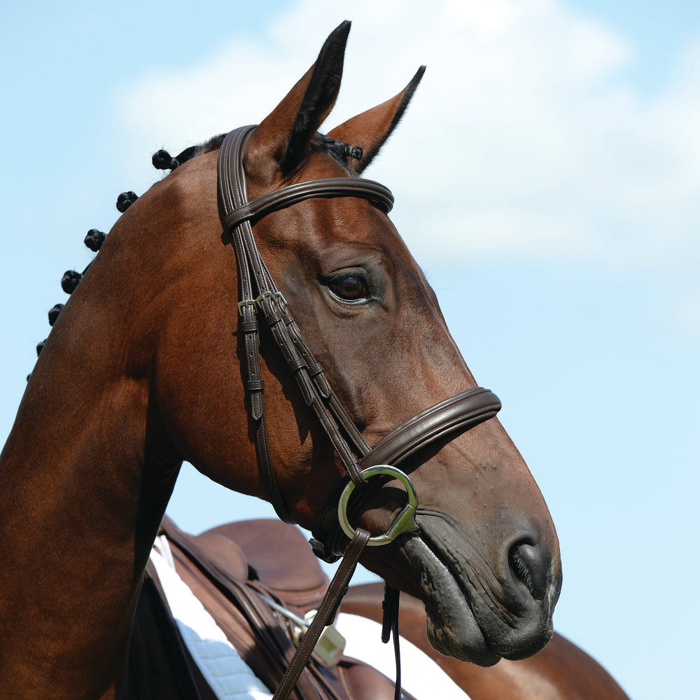 Collegiate Syntovia+ Padded Raised Cavesson Bridle#Brown