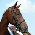 Collegiate Syntovia+ Padded Raised Cavesson Bridle#Black