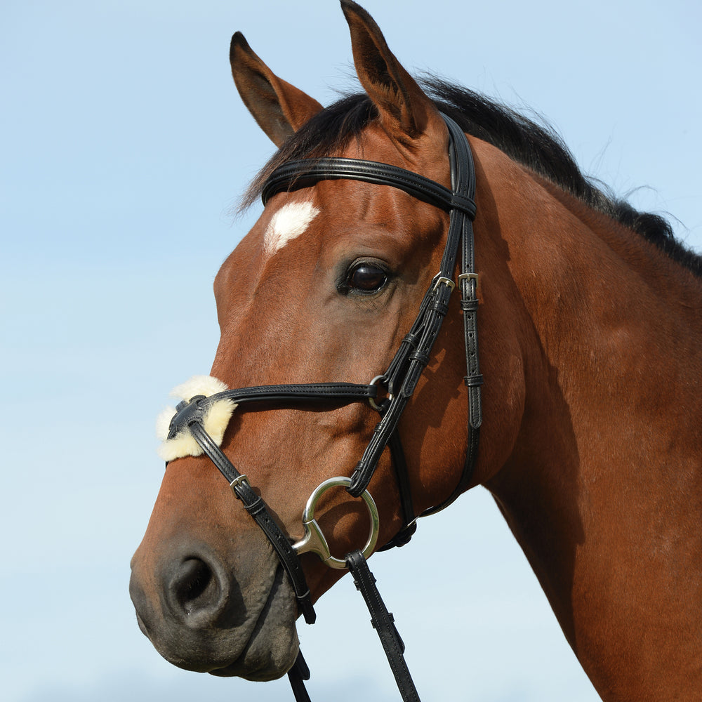 Collegiate Syntovia+ Padded Raised Figure 8 Bridle#Black