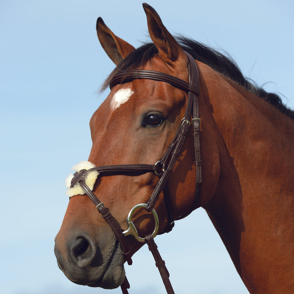 Collegiate Syntovia+ Padded Raised Figure 8 Bridle#Brown
