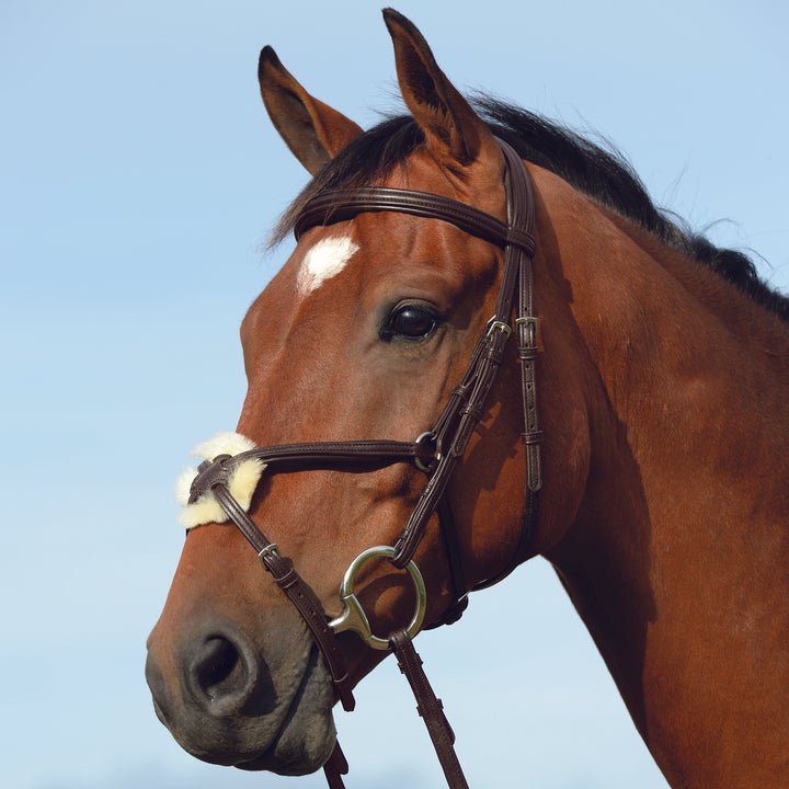 Collegiate Syntovia+ Padded Raised Figure 8 Bridle#Brown