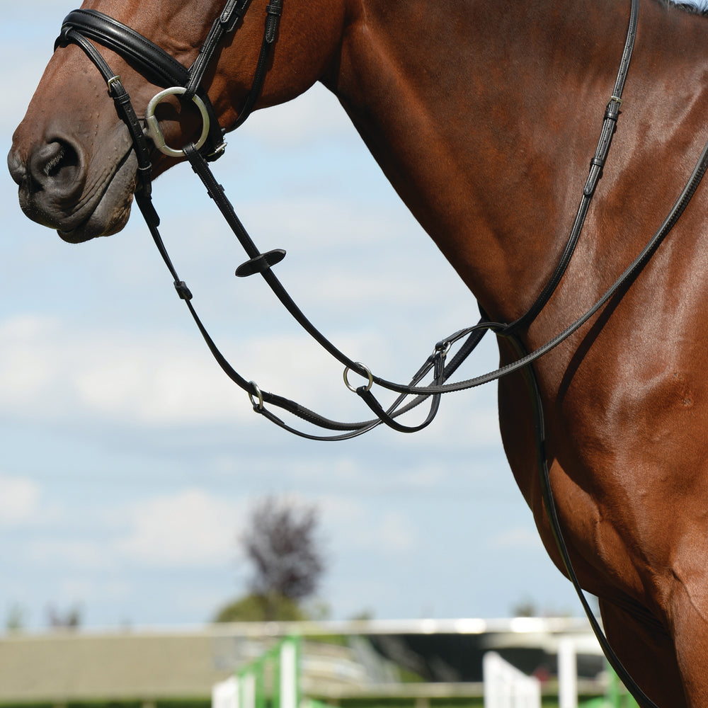 Collegiate Syntovia+ Plain Flat Running Martingale#Black