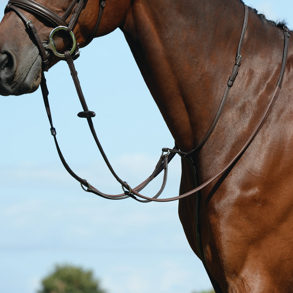 Collegiate Syntovia+ Plain Flat Running Martingale#Brown
