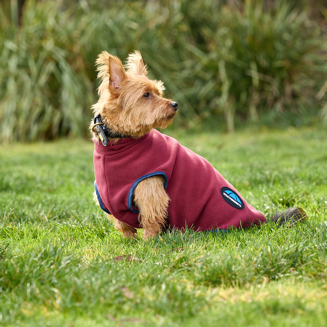 Weatherbeeta ComFiTec Zip Fleece Dog Coat
