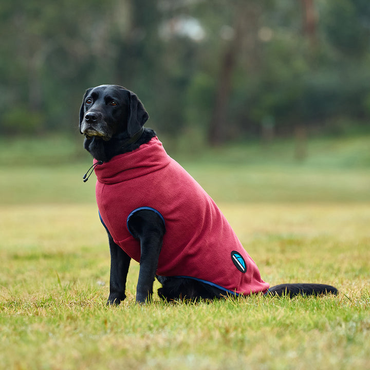 Weatherbeeta ComFiTec Zip Fleece Dog Coat