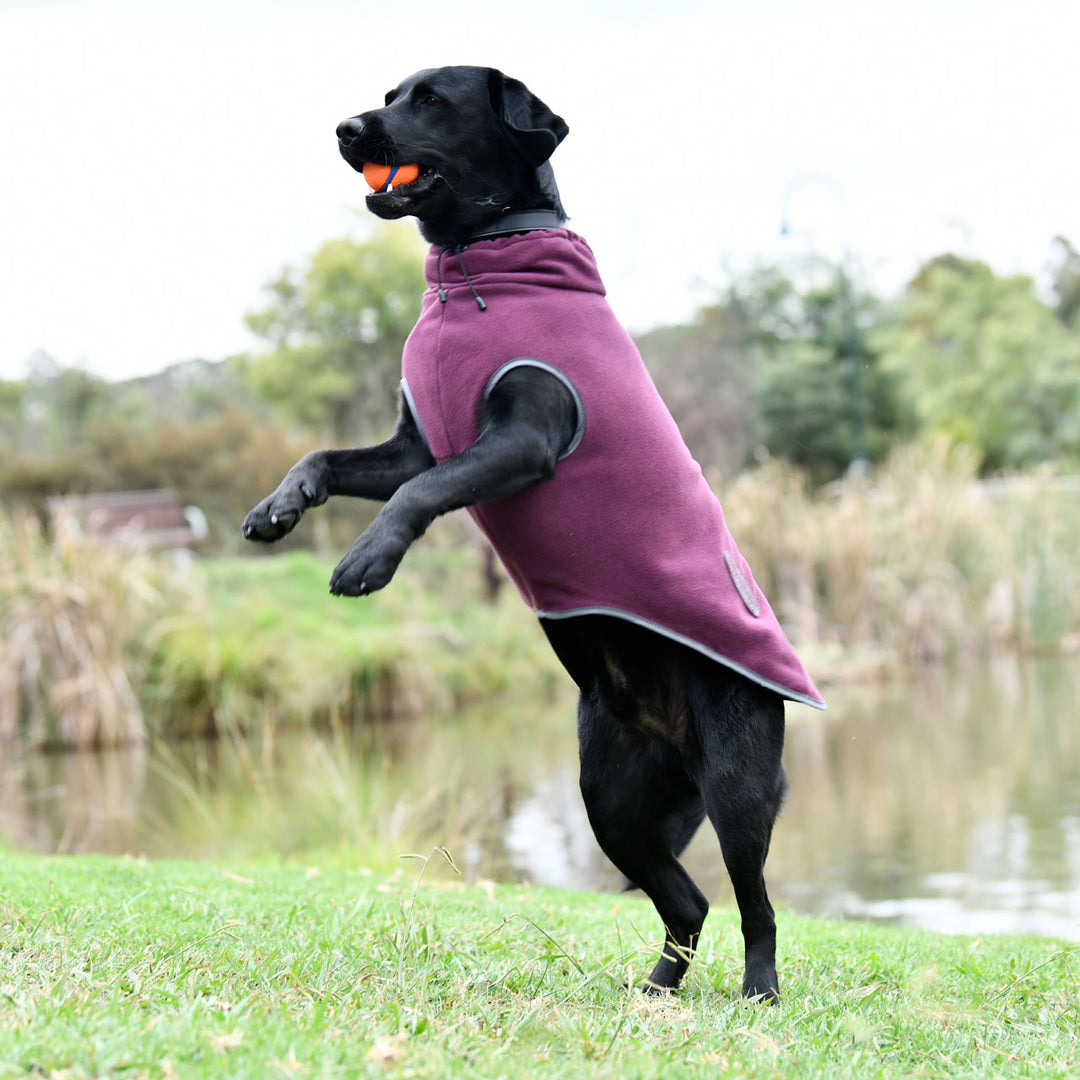 Weatherbeeta Comfitec Fleece Zip Dog Coat