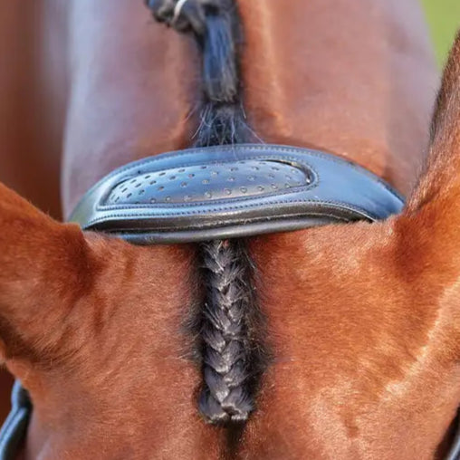 Collegaiate Comfitec Training Bridle