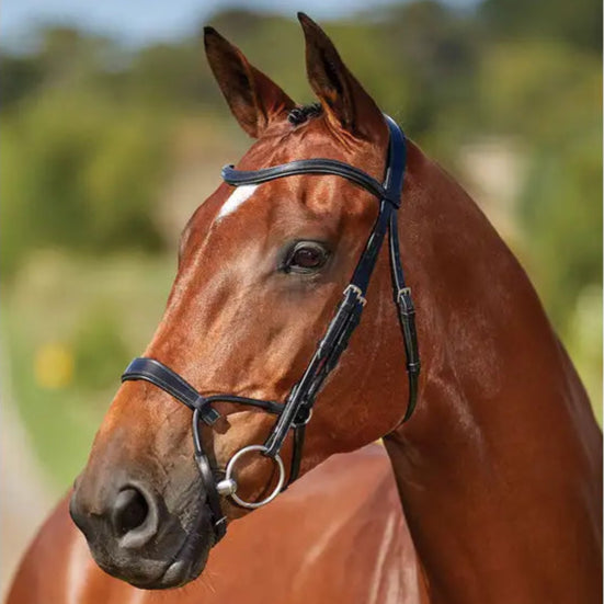 Collegaiate Comfitec Training Bridle