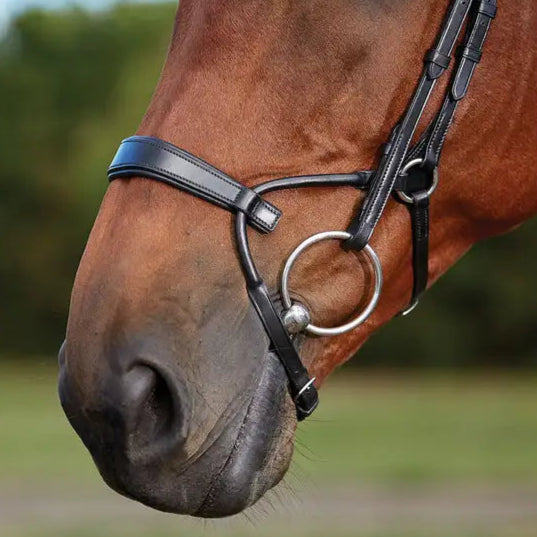 Collegaiate Comfitec Training Bridle