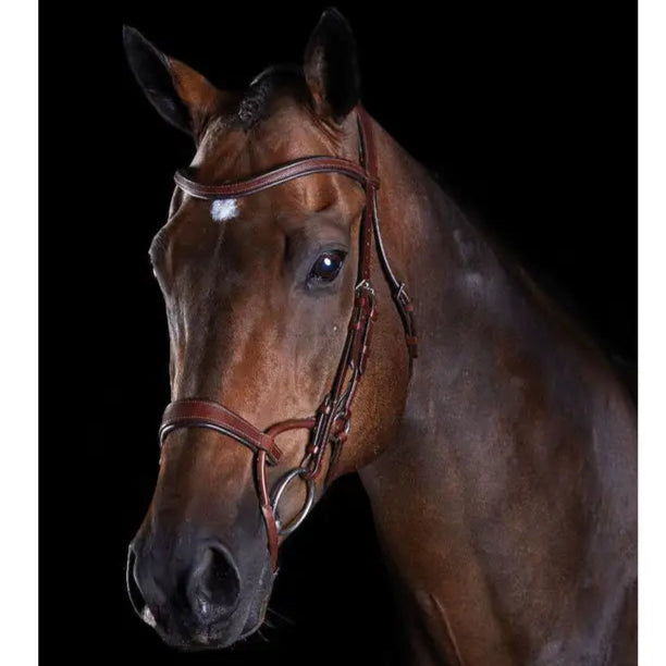 Collegaiate Comfitec Training Bridle