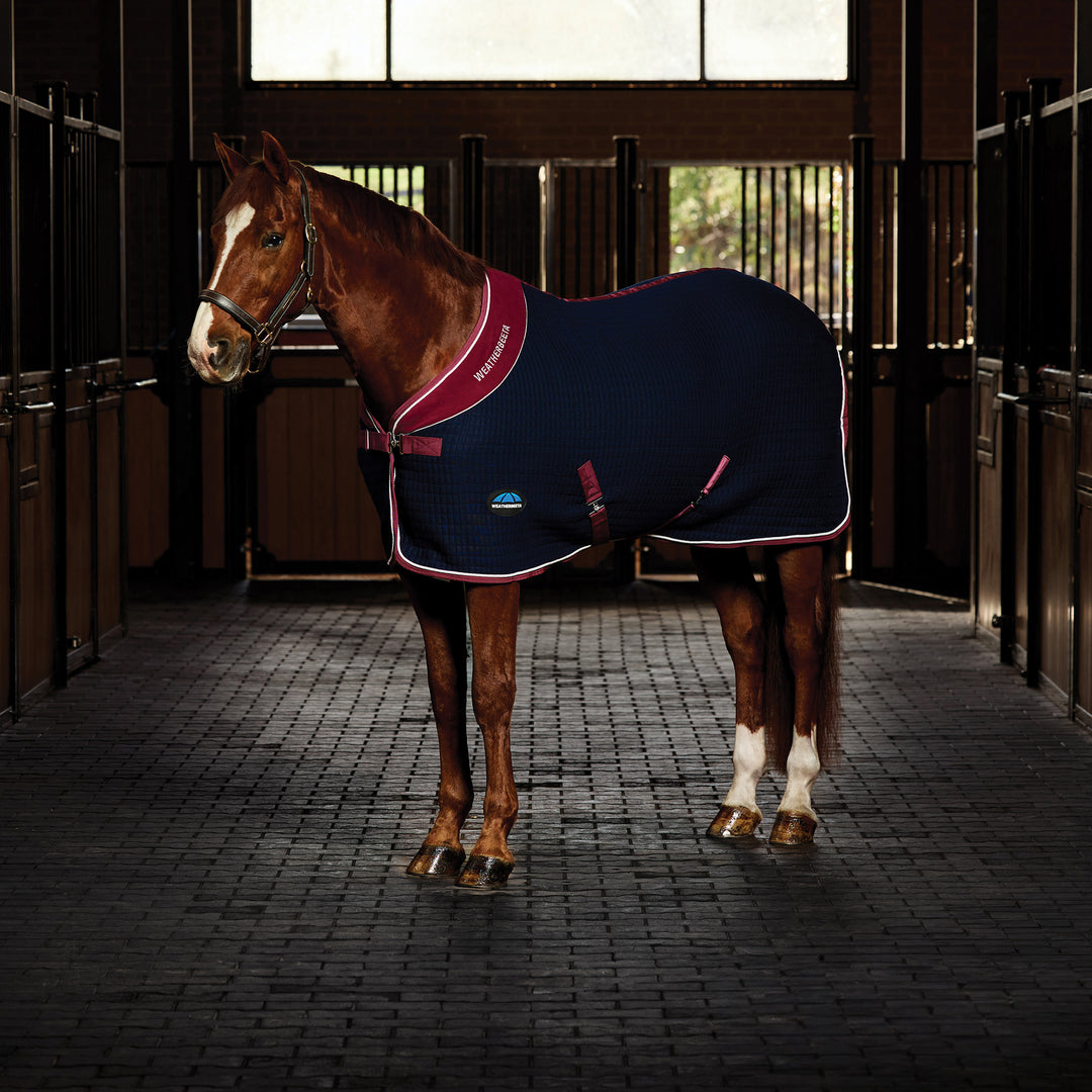 Weatherbeeta Thermocell Standard Cooler