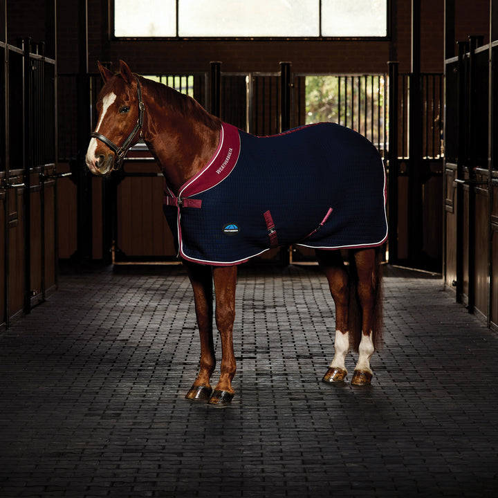 Weatherbeeta Thermocell Standard Cooler