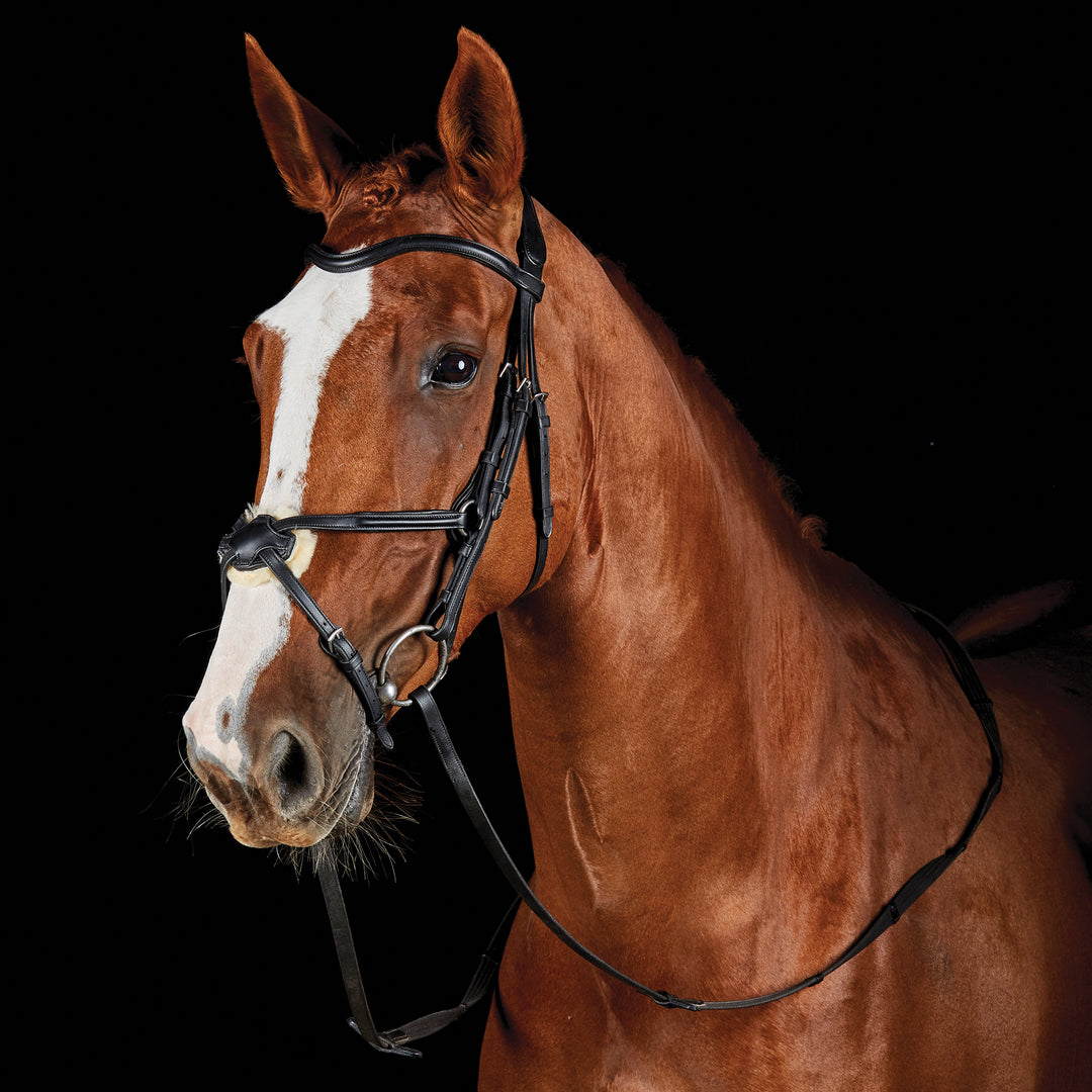Collegiate Comfitec Grackle Bridle#Black