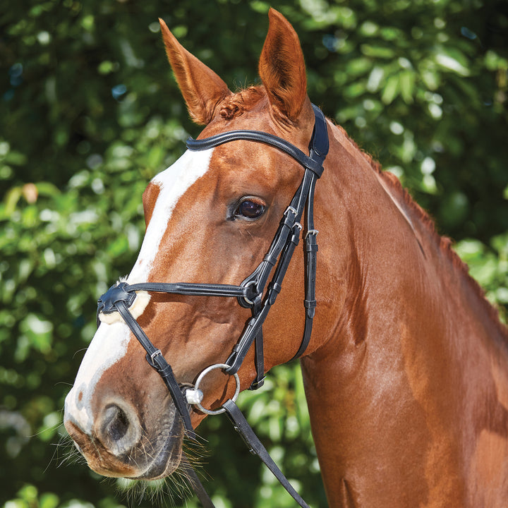 Collegiate Comfitec Grackle Bridle#Black