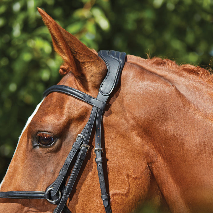 Collegiate Comfitec Grackle Bridle#Black
