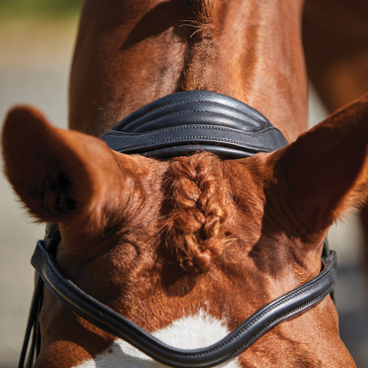 Collegiate Comfitec Grackle Bridle#Black