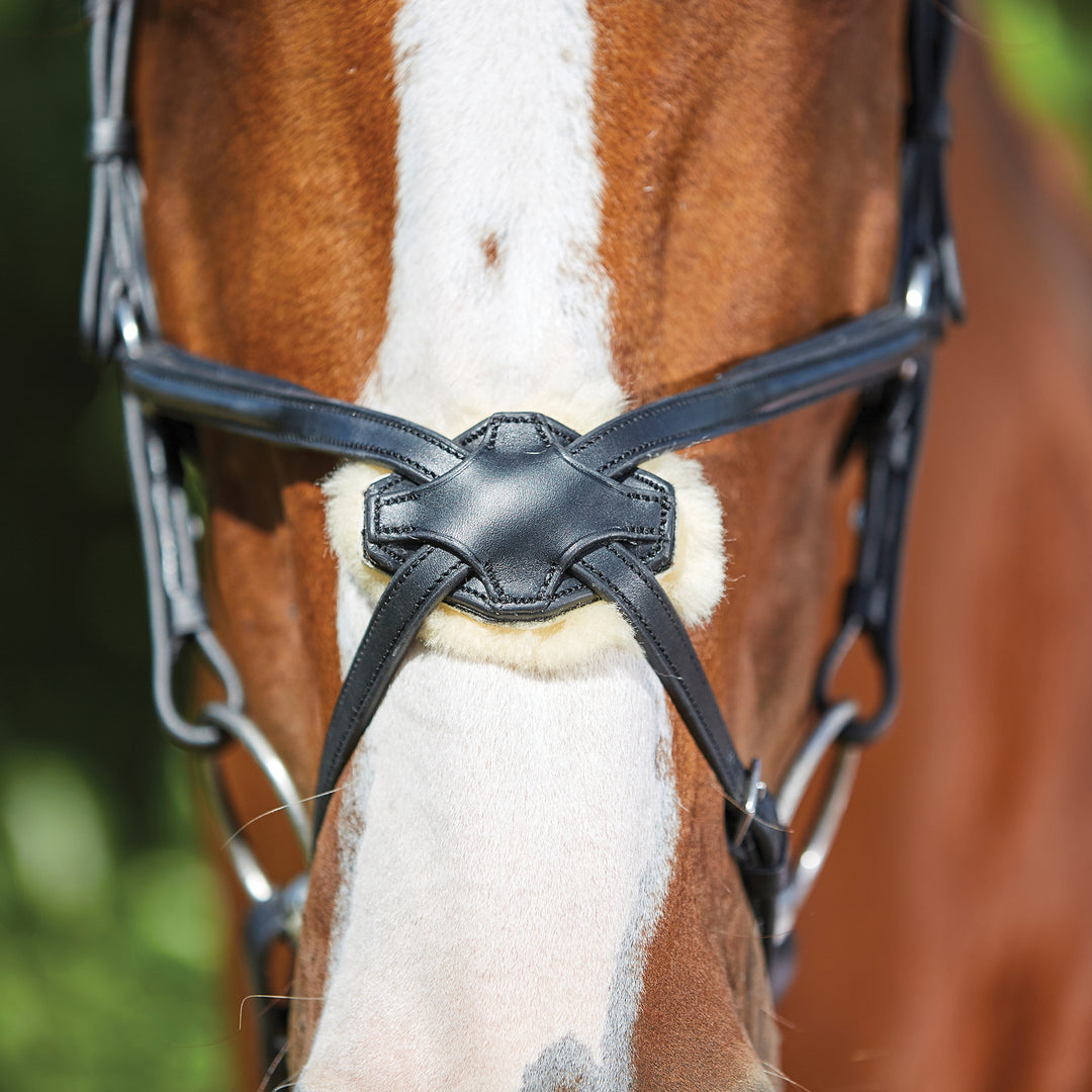 Collegiate Comfitec Grackle Bridle#Black