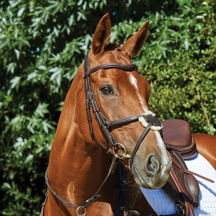 Collegiate Comfitec Grackle Bridle#Brown