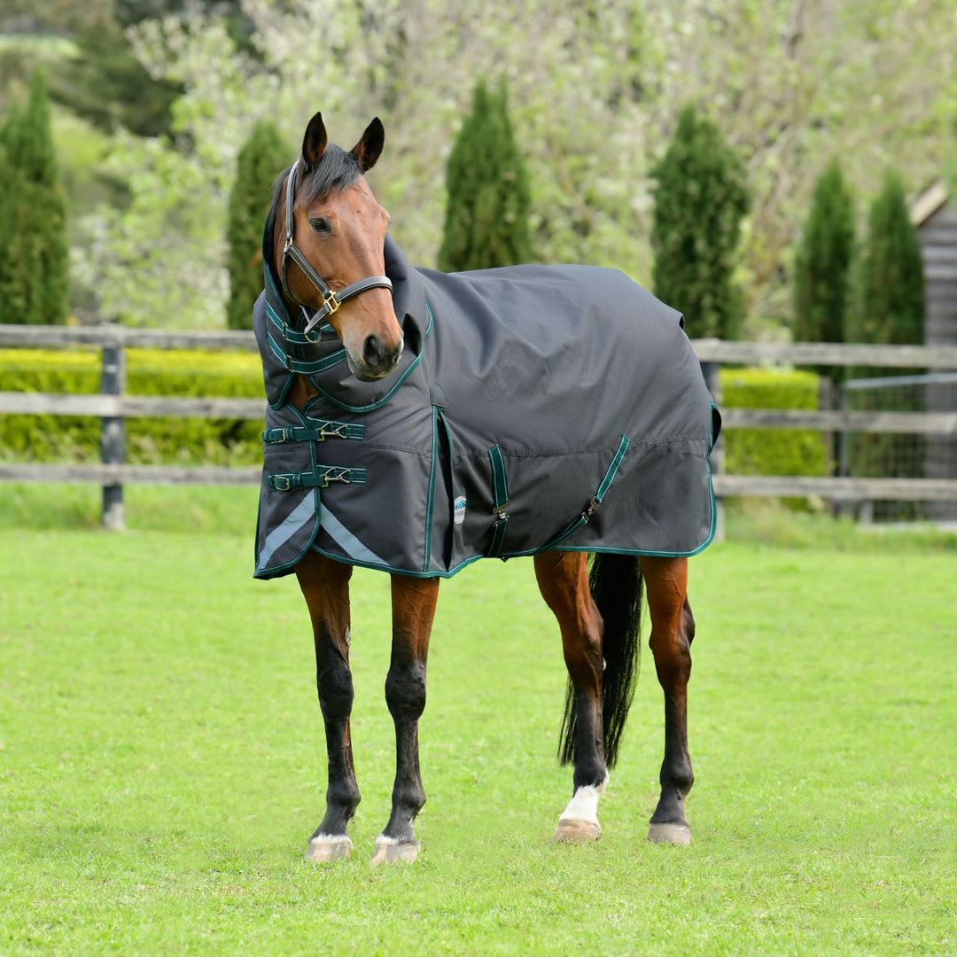 Weatherbeeta Comfitec Plus Dynamic II Detach-A-Neck Medium Turnout Rug