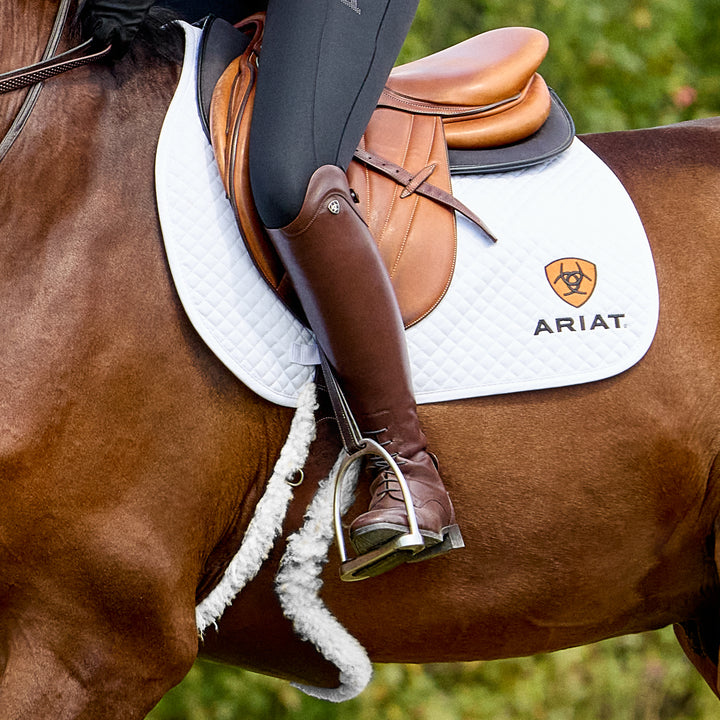 Ariat Ladies Palisade Field Tall Riding Boots