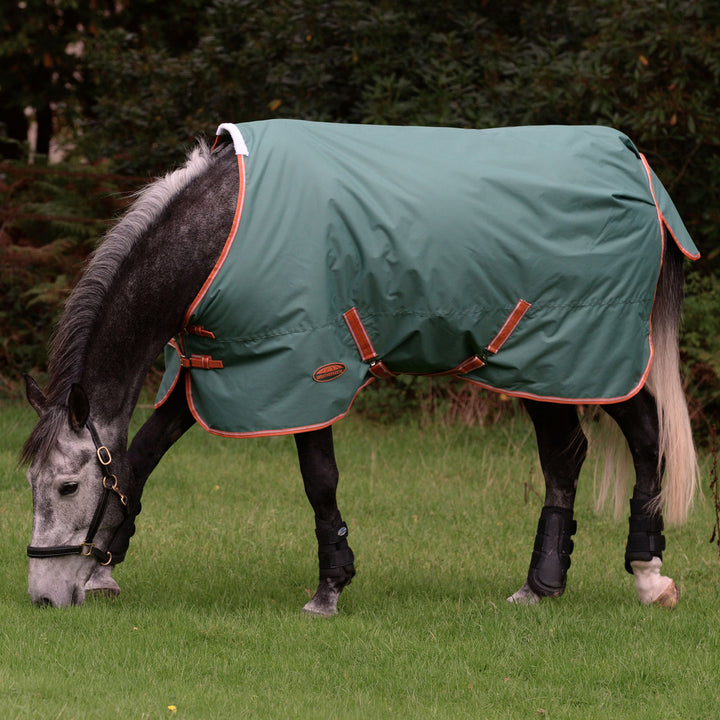 Weatherbeeta Comfitec Tyro Standard Neck Lite Plus Turnout Rug