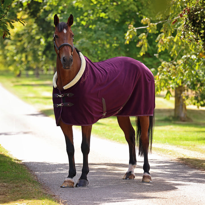 Shires Deluxe Fleece Rug