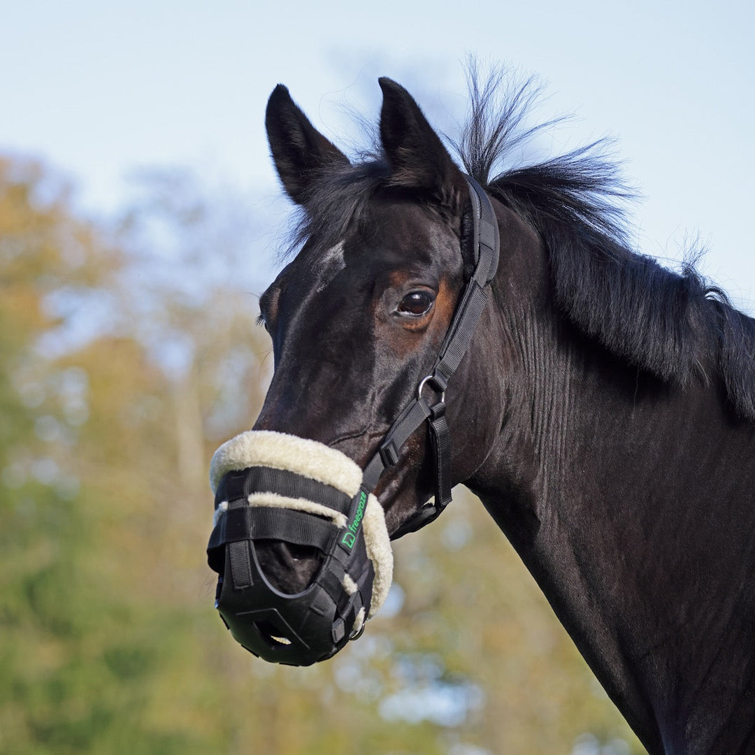 Shires FreeGraze Deluxe AirFlow Grazing Muzzle