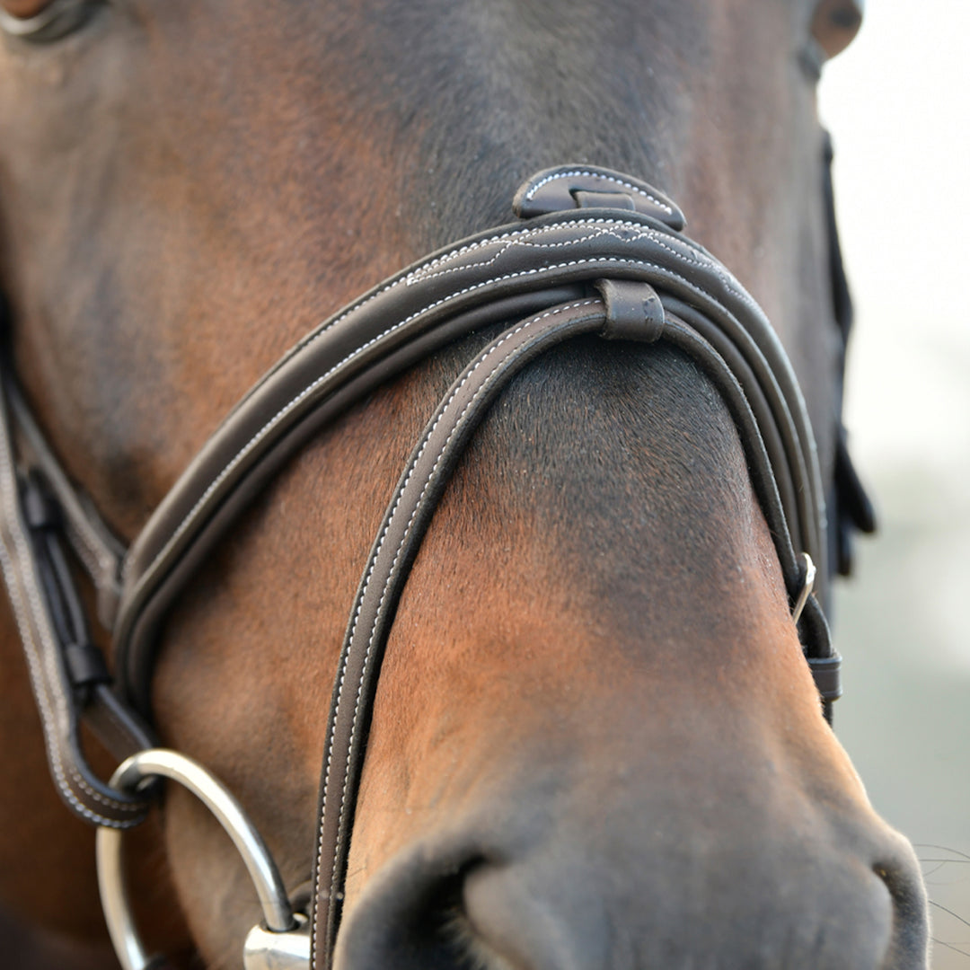 Collegiate Comfitec Opulux Fancy Stitch Padded Hanoverian Bridle#Dark Brown