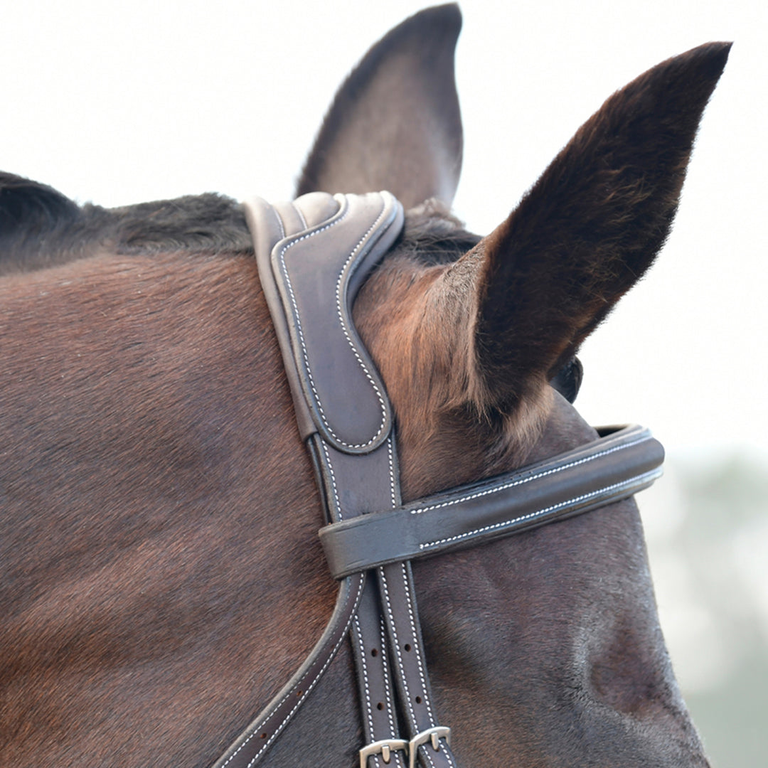 Collegiate Comfitec Opulux Fancy Stitch Padded Hanoverian Bridle#Dark Brown