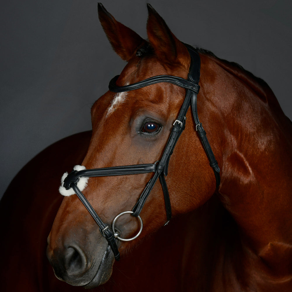 Collegiate Comfitec Opulux Plain Padded Grackle Bridle#Black