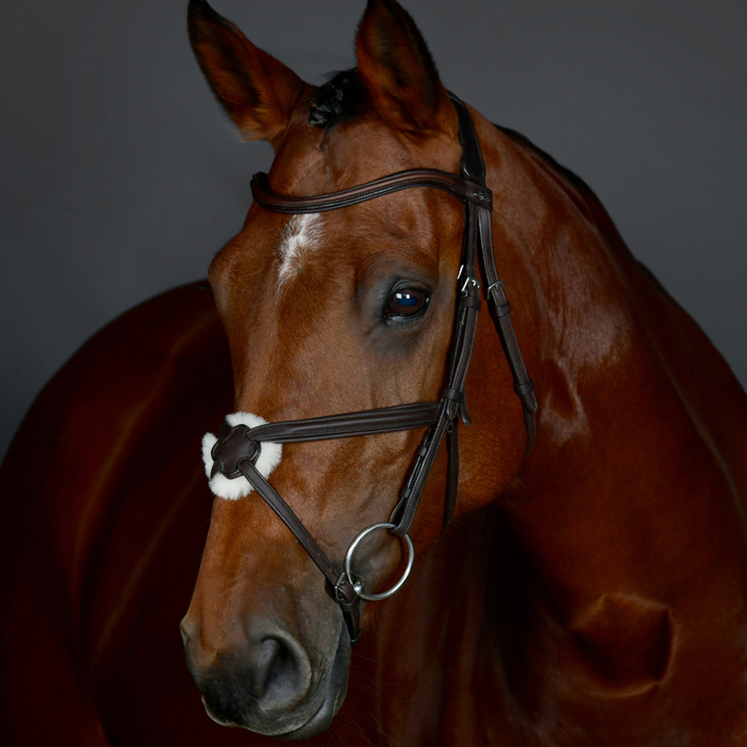 Collegiate Comfitec Opulux Plain Padded Grackle Bridle#Dark Brown