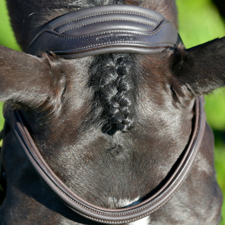 Collegiate Comfitec Opulux Plain Padded Grackle Bridle#Dark Brown