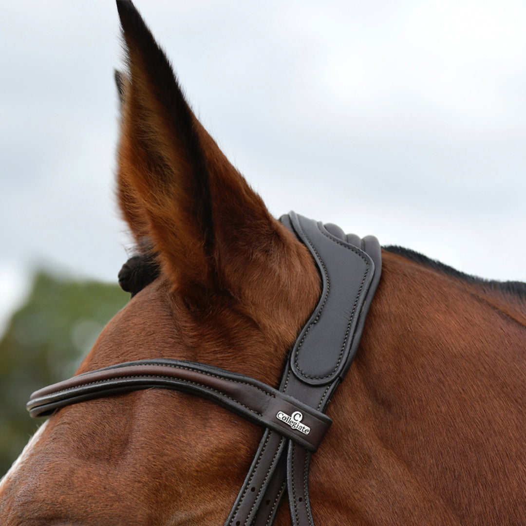 Collegiate Comfitec Opulux Plain Padded Grackle Bridle#Dark Brown