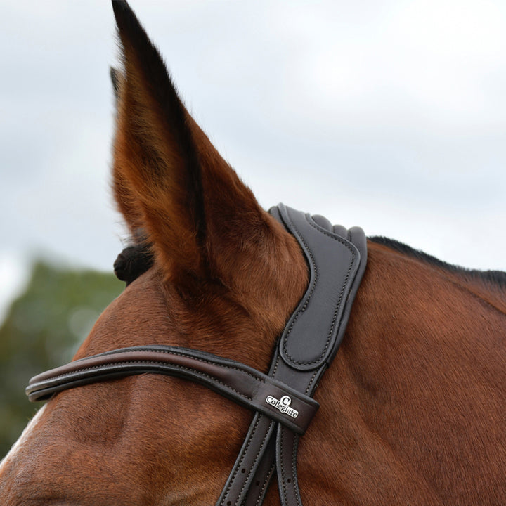 Collegiate Comfitec Opulux Plain Padded Grackle Bridle#Dark Brown