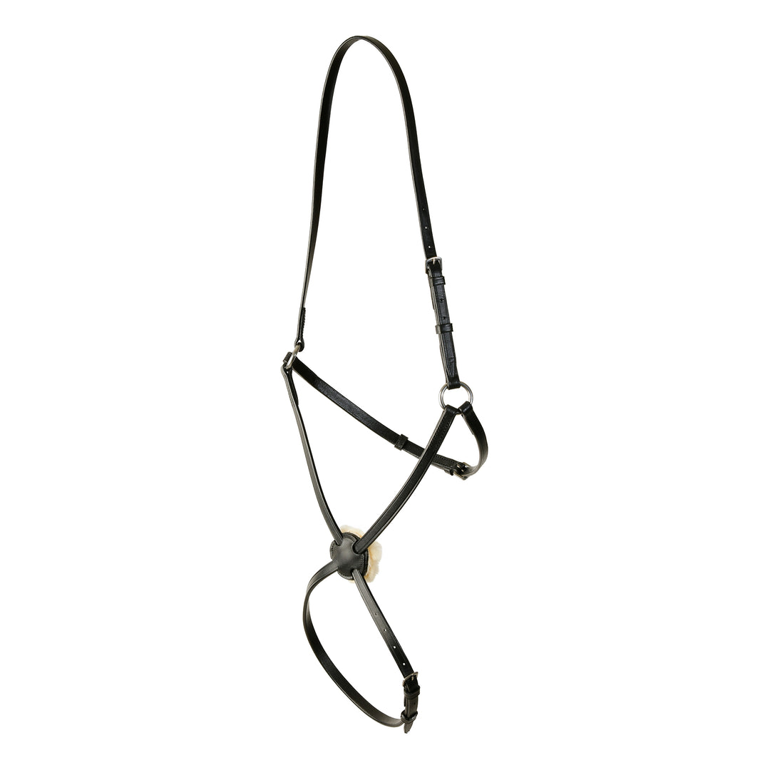 Kincade Classic Plain Raised Grackle Noseband