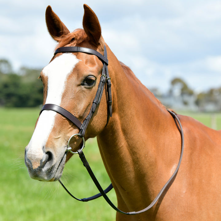 Kincade Classic Flat Hunt Bridle With Reins