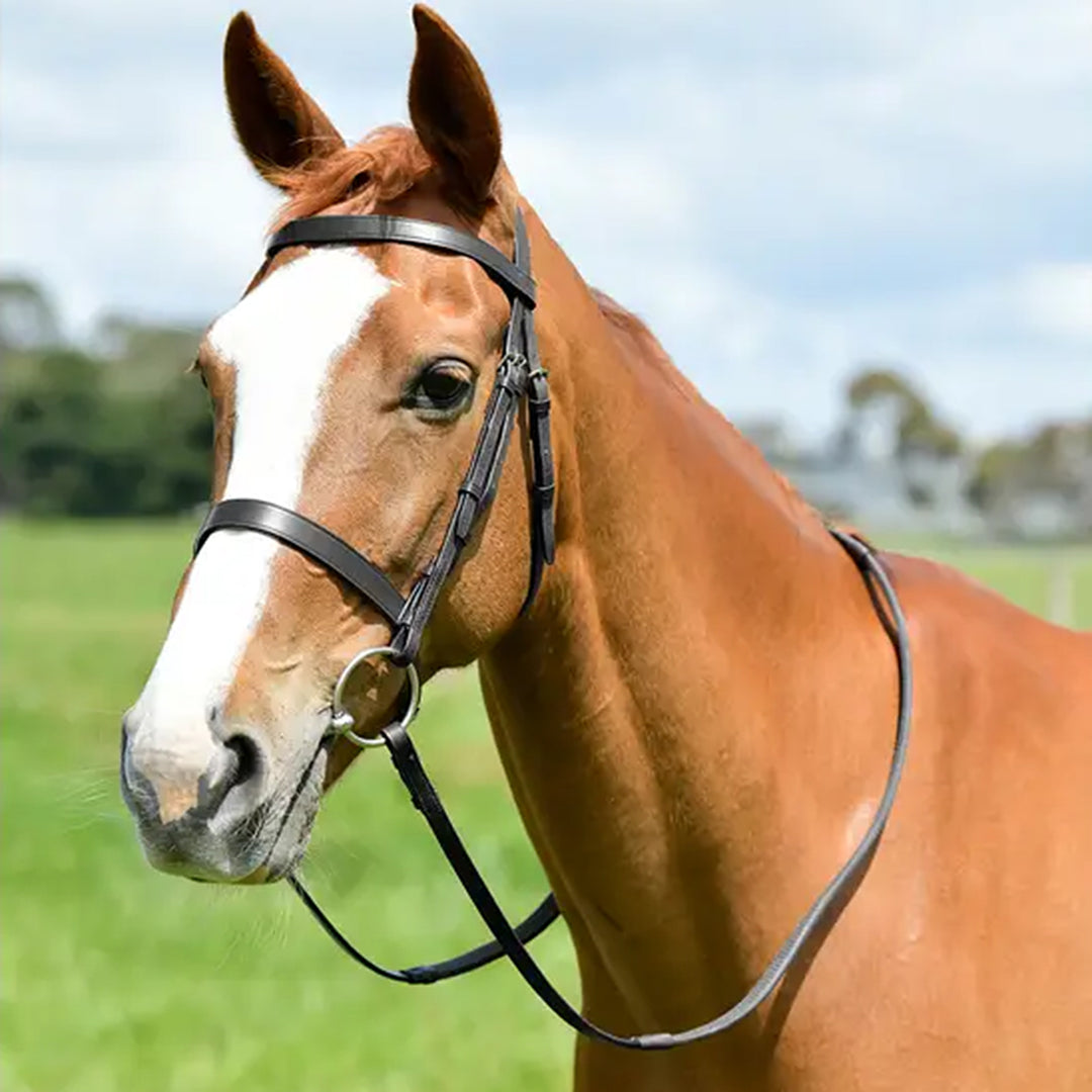 Kincade Classic Flat Hunt Bridle With Reins