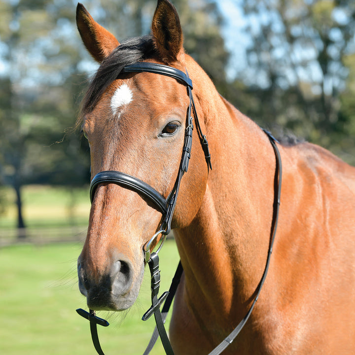 Kincade Classic Plain Raised Cavesson Bridle With Reins