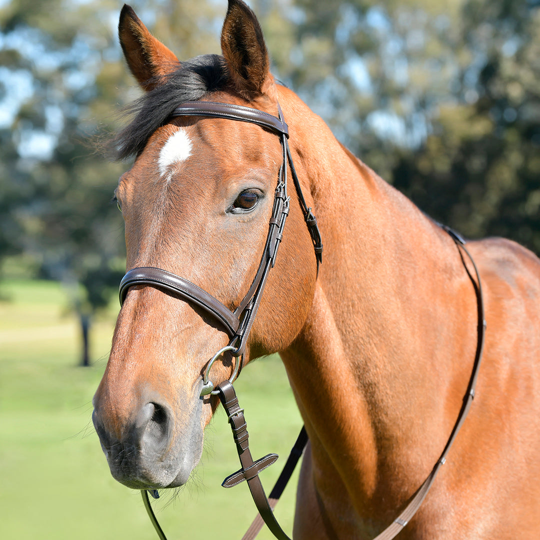 Kincade Classic Plain Raised Cavesson Bridle With Reins