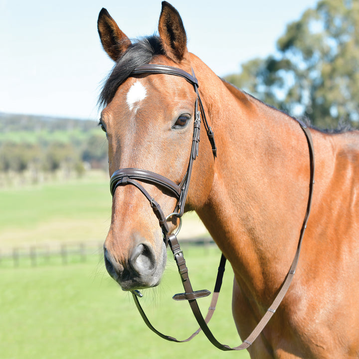 Kincade Classic Plain Raised Flash Bridle With Reins