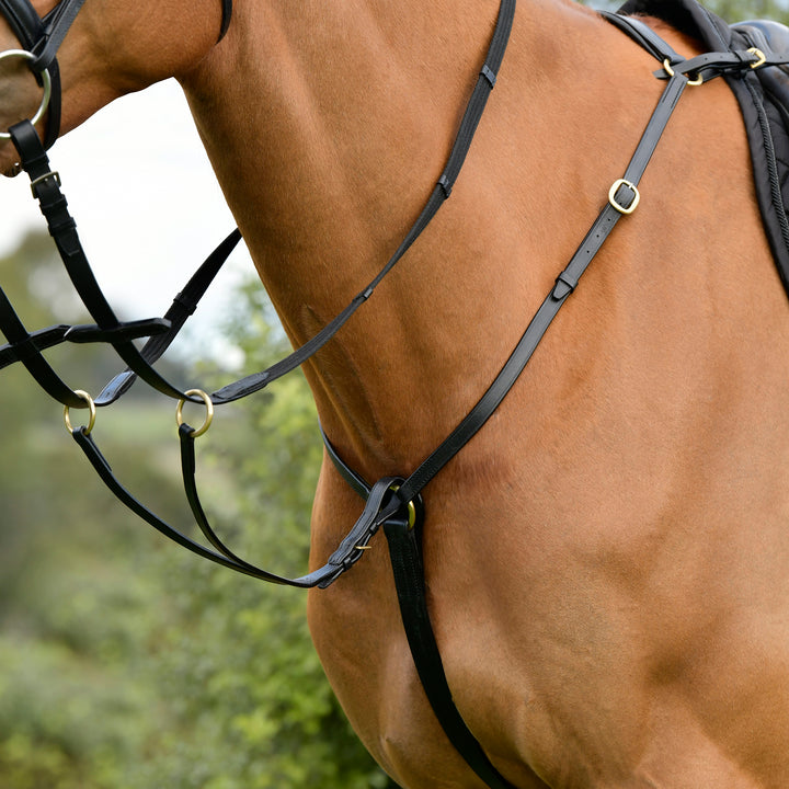 Kincade Classic 3 Point Breastplate with Running Martingale#Black