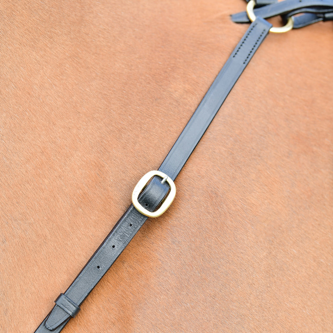Kincade Classic 3 Point Breastplate with Running Martingale#Black