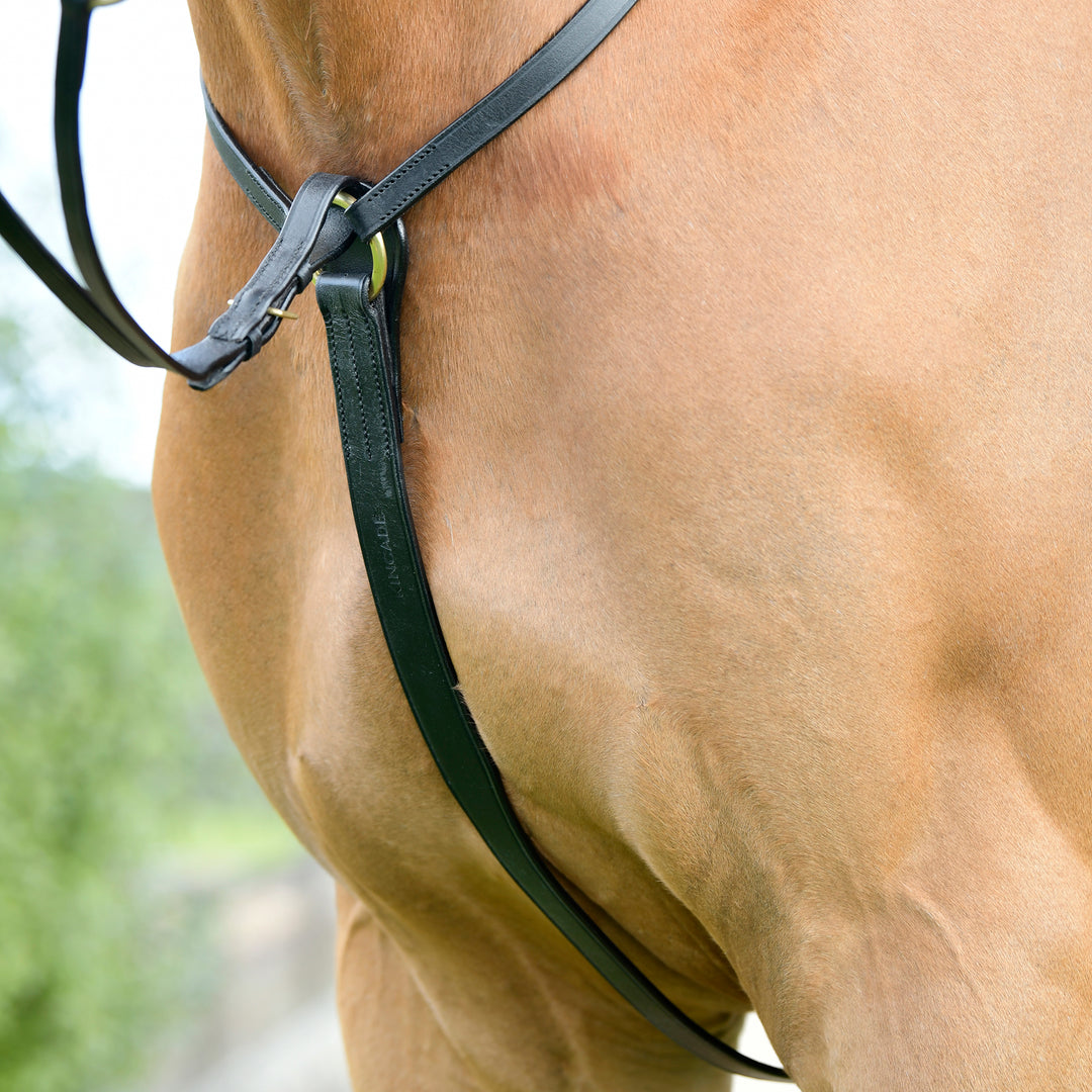 Kincade Classic 3 Point Breastplate with Running Martingale#Black