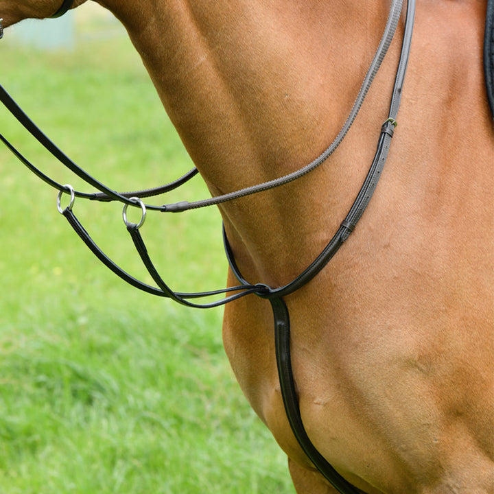 Kincade Classic Plain Raised Running Martingale