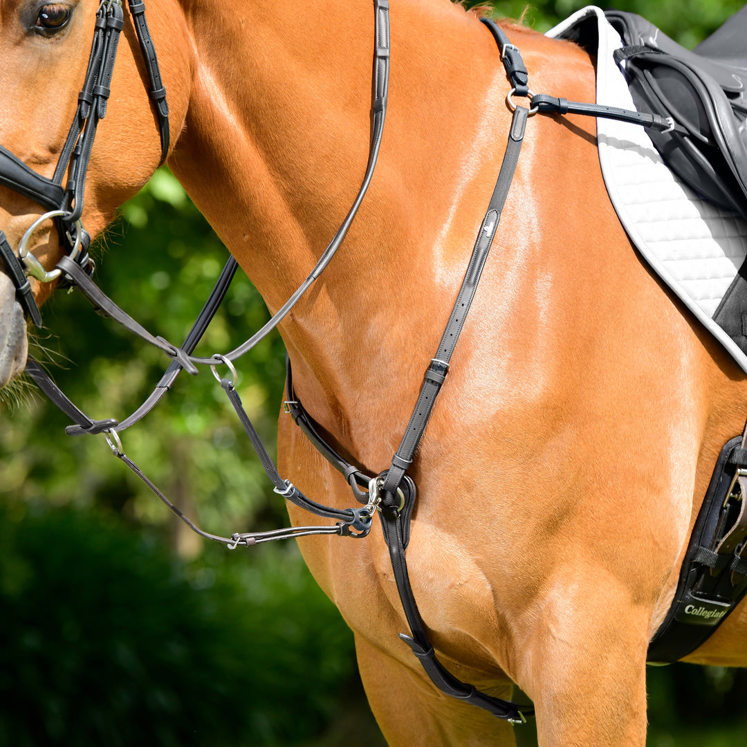 Collegiate Comfitec Opulux 3-Point Padded Raised Breastplate with Running Attachment#Black
