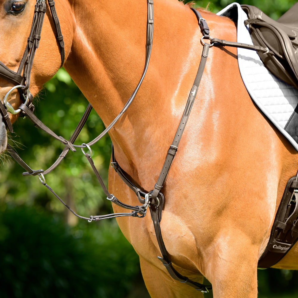 Collegiate Comfitec Opulux 3-Point Padded Raised Breastplate with Running Attachment#Brown