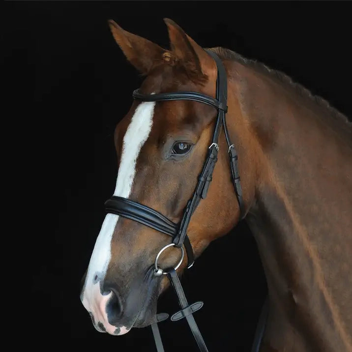 Collegiate Mono Crown Padded Raised Cavesson Bridle